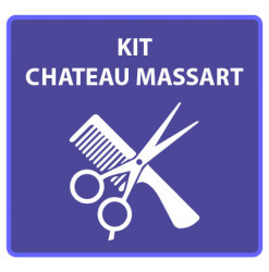 Kit Ecole Château Massart 1