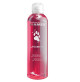 Diamex Shampooing Universel Fruits 250ml. Shampooing pour chien. Pour chiens à poils courts. Aux extraits de fruits.