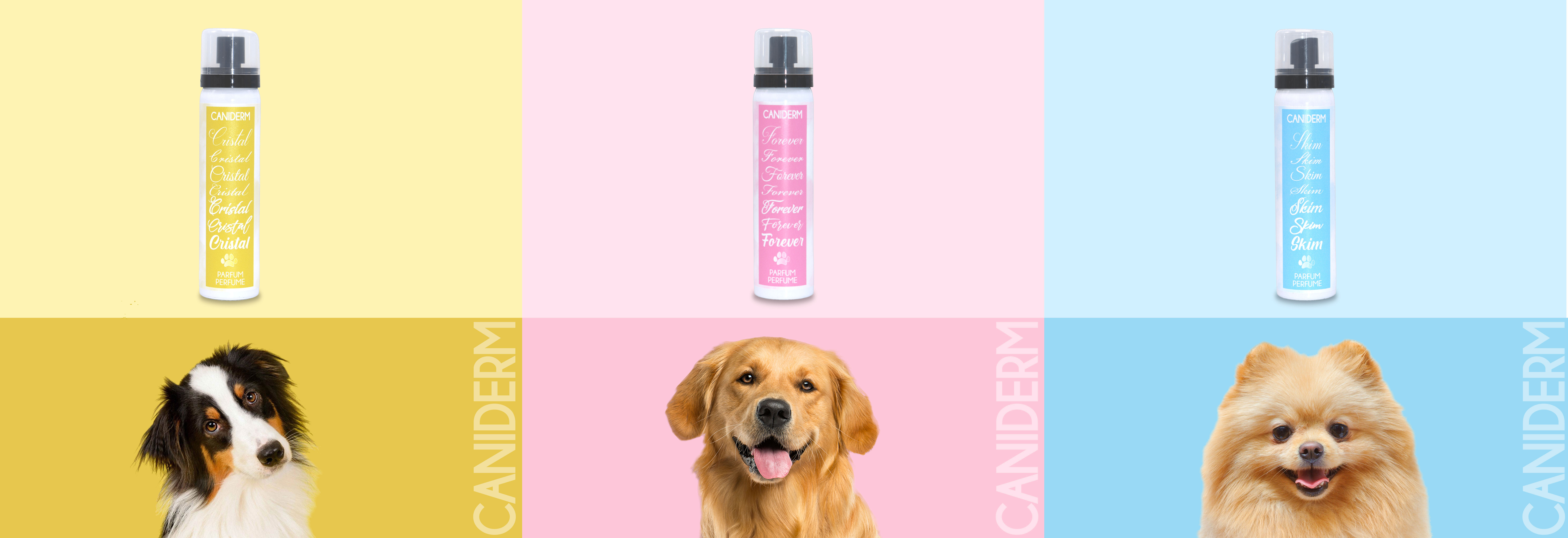 caniderm parfums